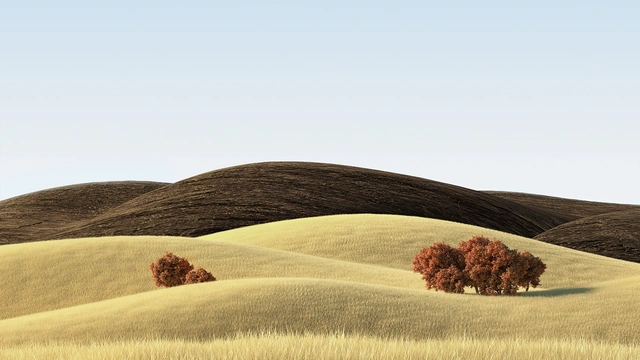 Golden Hills and Red Trees