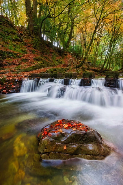Autumn Forest Waterfall