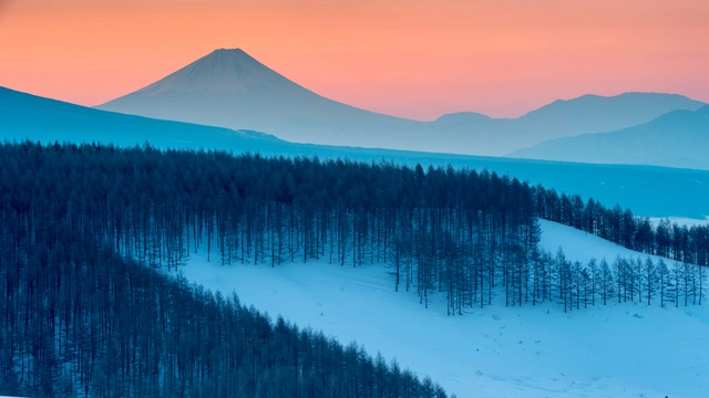 Snowy Forest and Distant Mountain Sunrise