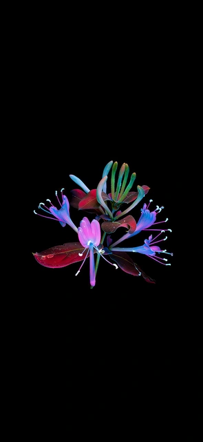 Neon Minimalist Flower