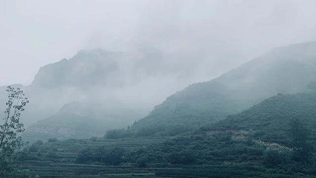 Misty Terraced Mountains