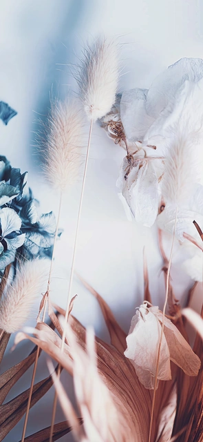 Pastel Dried Flowers Still Life
