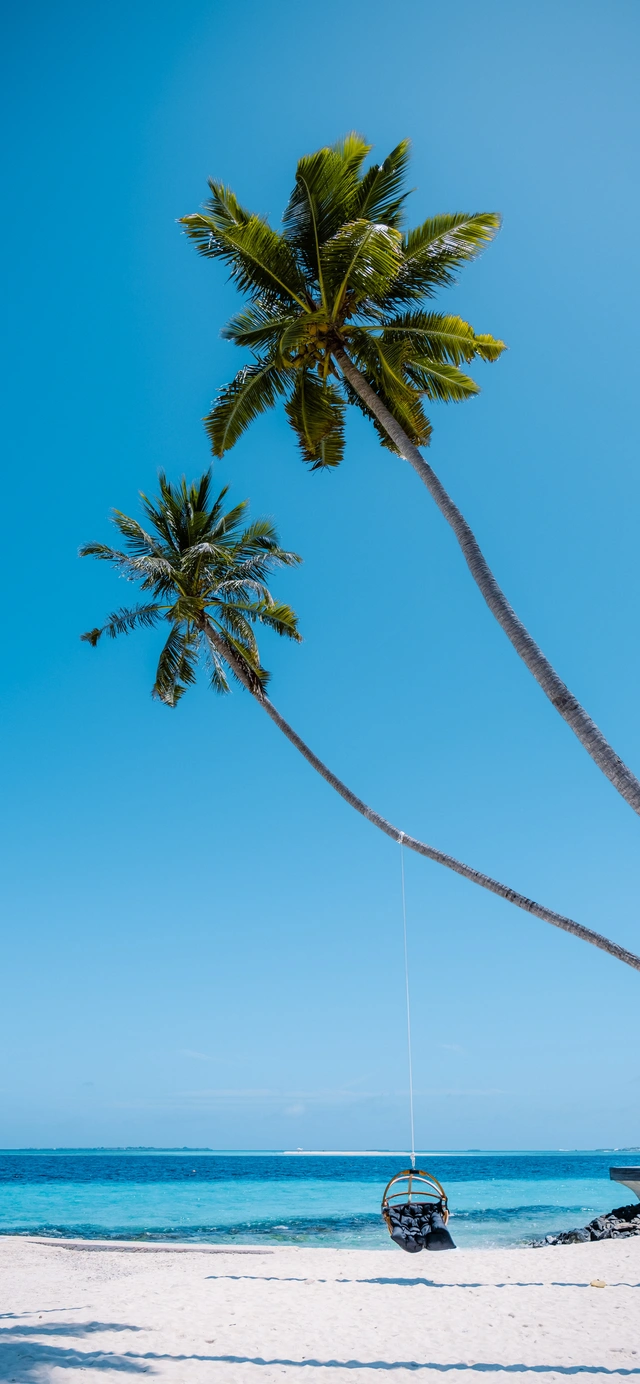 Palm Beach Swing